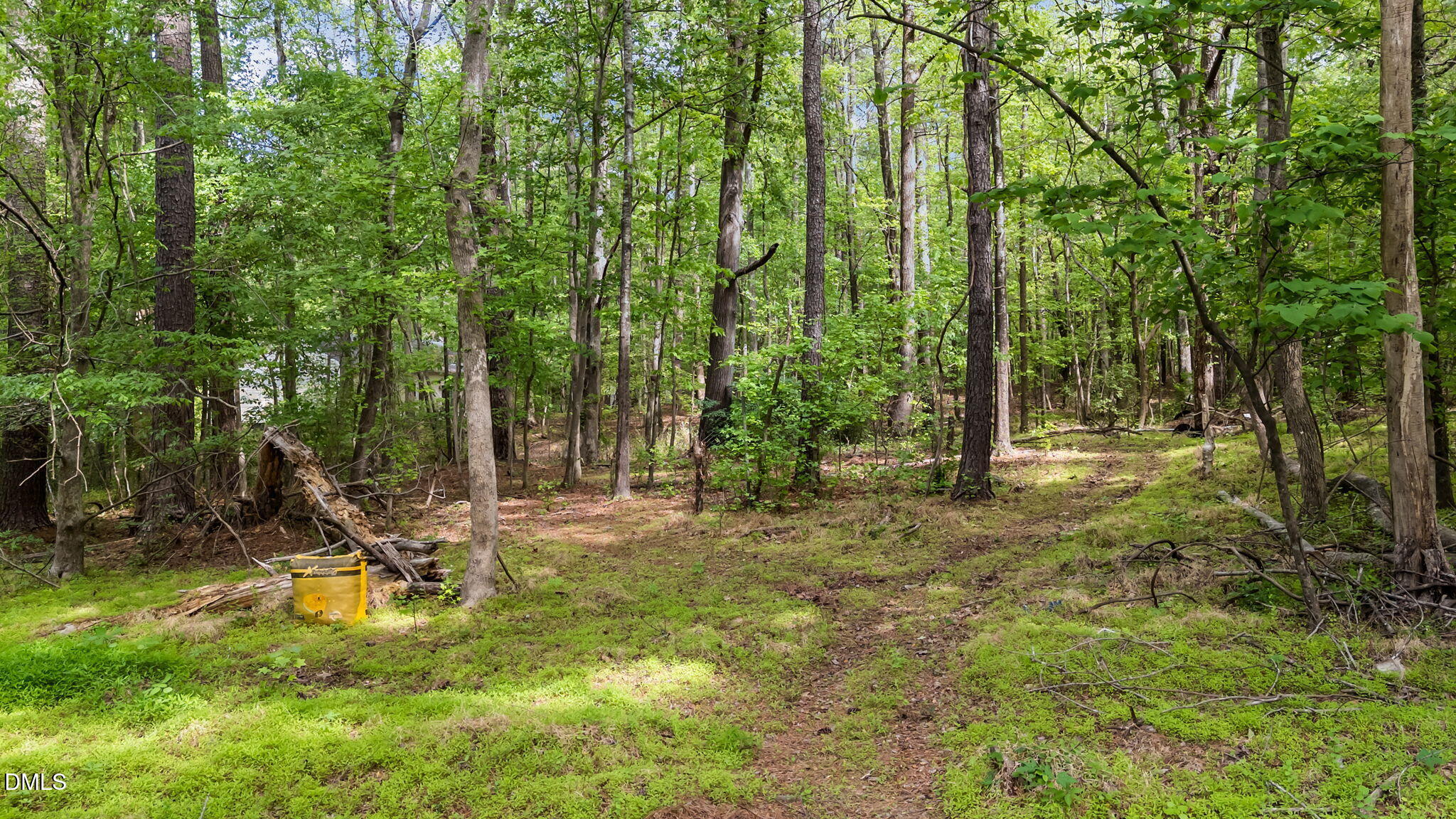 8501 Old Stage Road Raleigh, NC 27603 - Photo 5 of 9 6-web-or-mls-DJI_20260413154353_0516_D