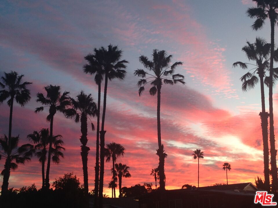 29500 Heathercliff Road, Unit 260 Malibu, CA 90265 - Photo 21 of 23 a view of a palm tree