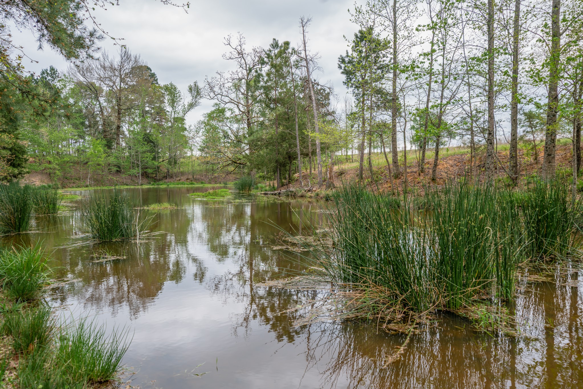 155 Ore City Tx 75683 Tyler, TX 75708 - Photo 44 of 50