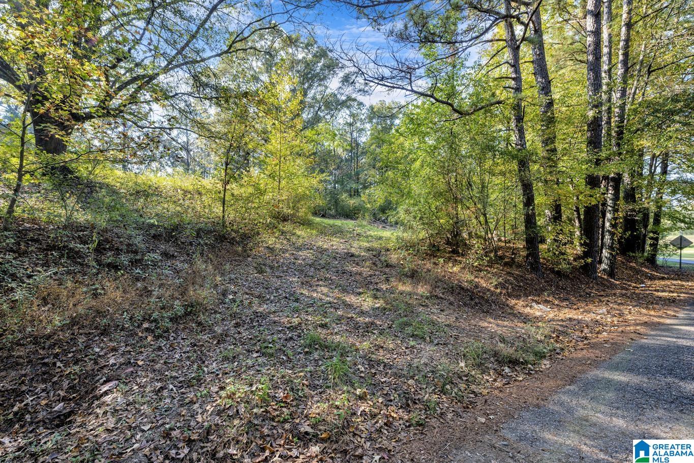 5882 Kilgore Church Road Dora, AL 35062 - Photo 24 of 26