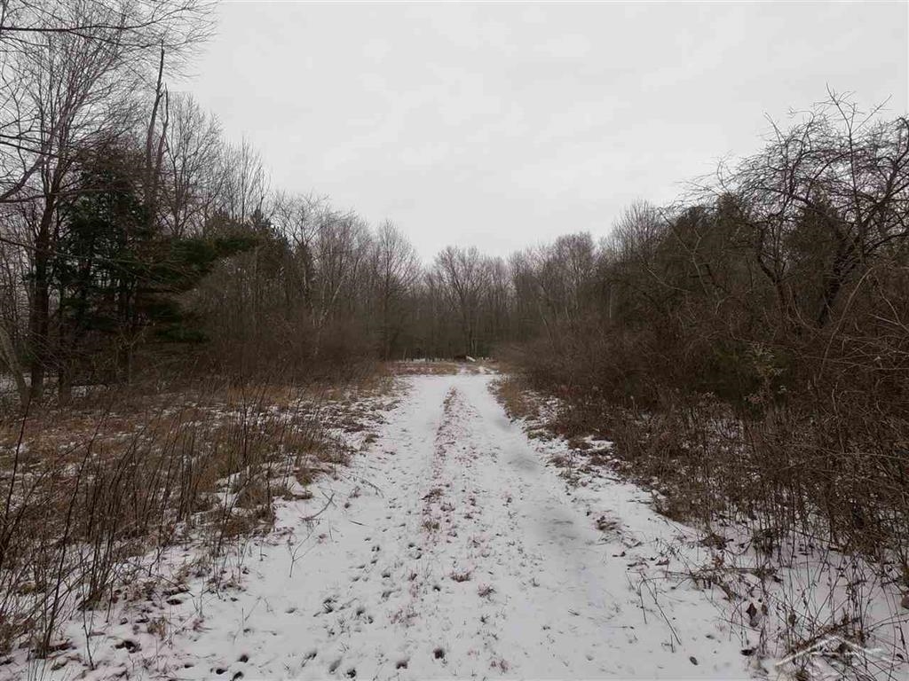 900 North Gleaner Road Saginaw, MI 48609 - Photo 1 of 12 Gallery Image 1