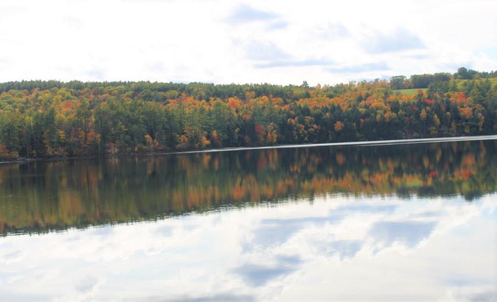 96 Blackguard Road Waterford, ME 04088 - Photo 56 of 62 Bear Pond
