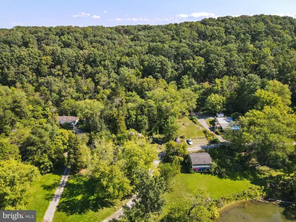 a view of a bunch of trees and bushes