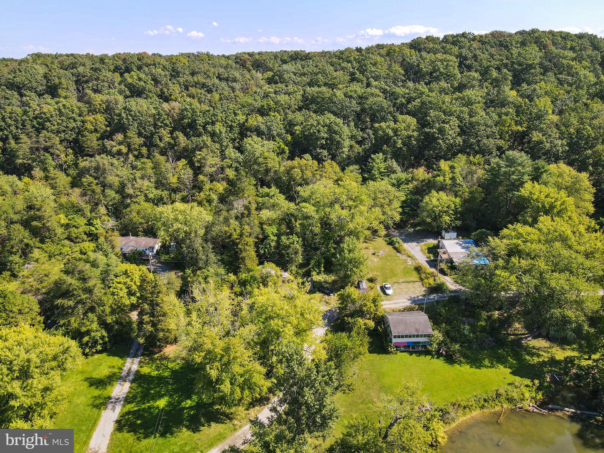 13726 Hopps Landing Road Hagerstown, MD 21740 - Photo 25 of 28 a view of a bunch of trees and bushes
