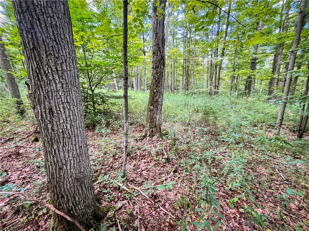 Hill Road Spencer, NY 14883 - Photo 16 of 48