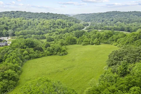 a view of a lake with a forest