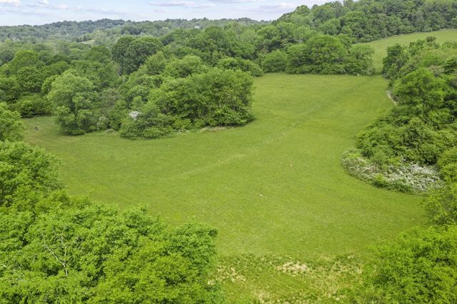 a view of a green yard with large trees