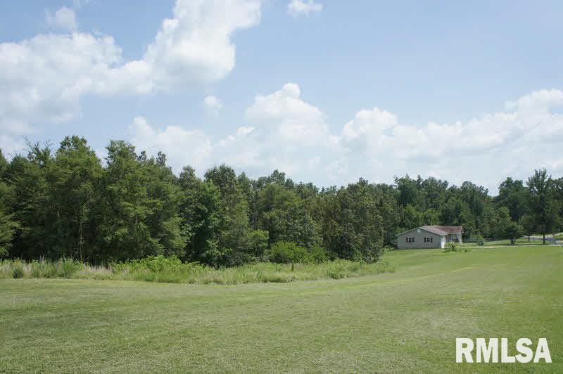 4593 Kommer Road Metropolis, IL 62960 - Photo 14 of 18