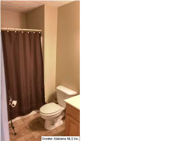 495 Shelia Lane Clanton, AL 35045 - Photo 13 of 16