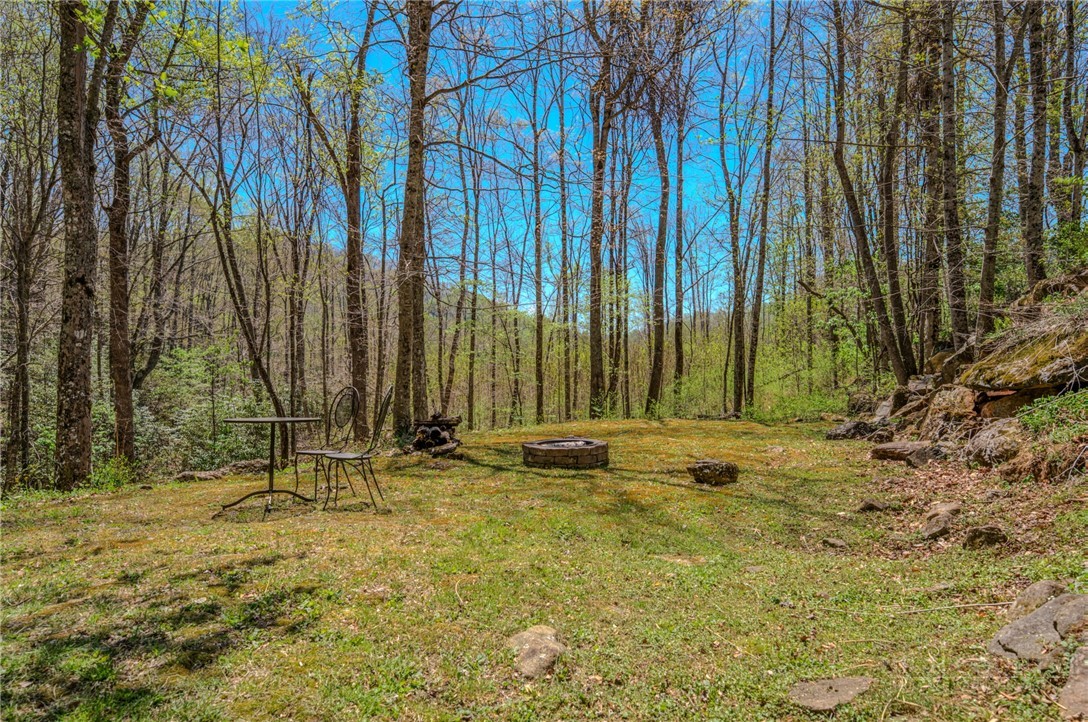 426 Cook Town Road Bakersville, NC 28705 - Photo 43 of 50