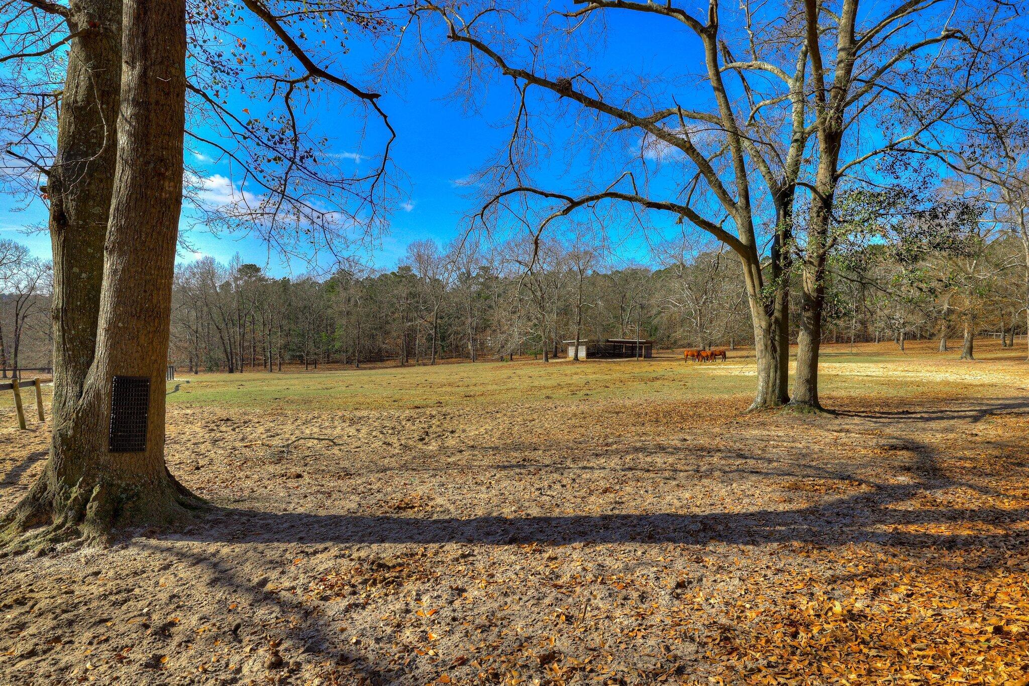 384 W Road Aiken, SC 29801 - Photo 24 of 37 191
