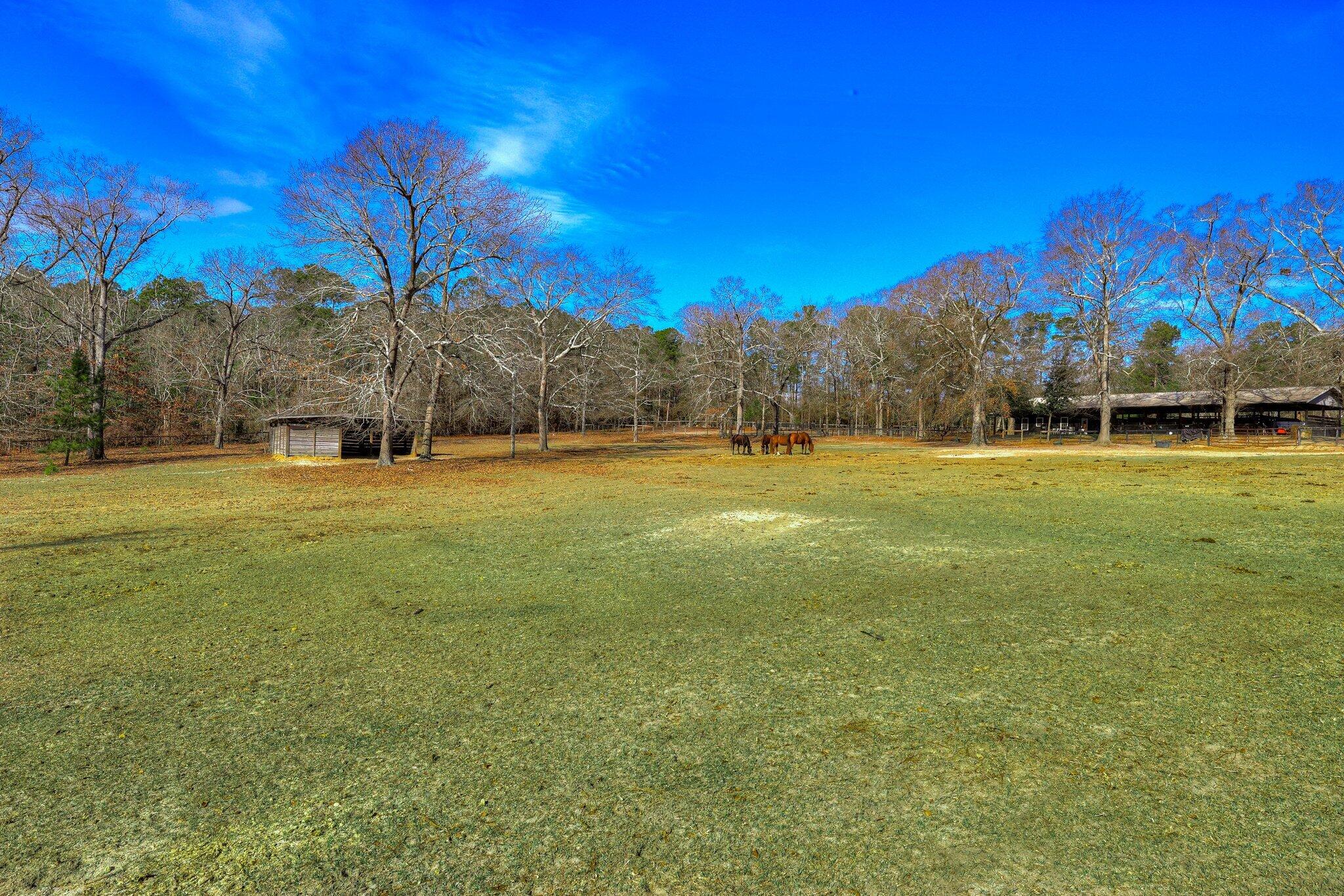 384 W Road Aiken, SC 29801 - Photo 25 of 37 197
