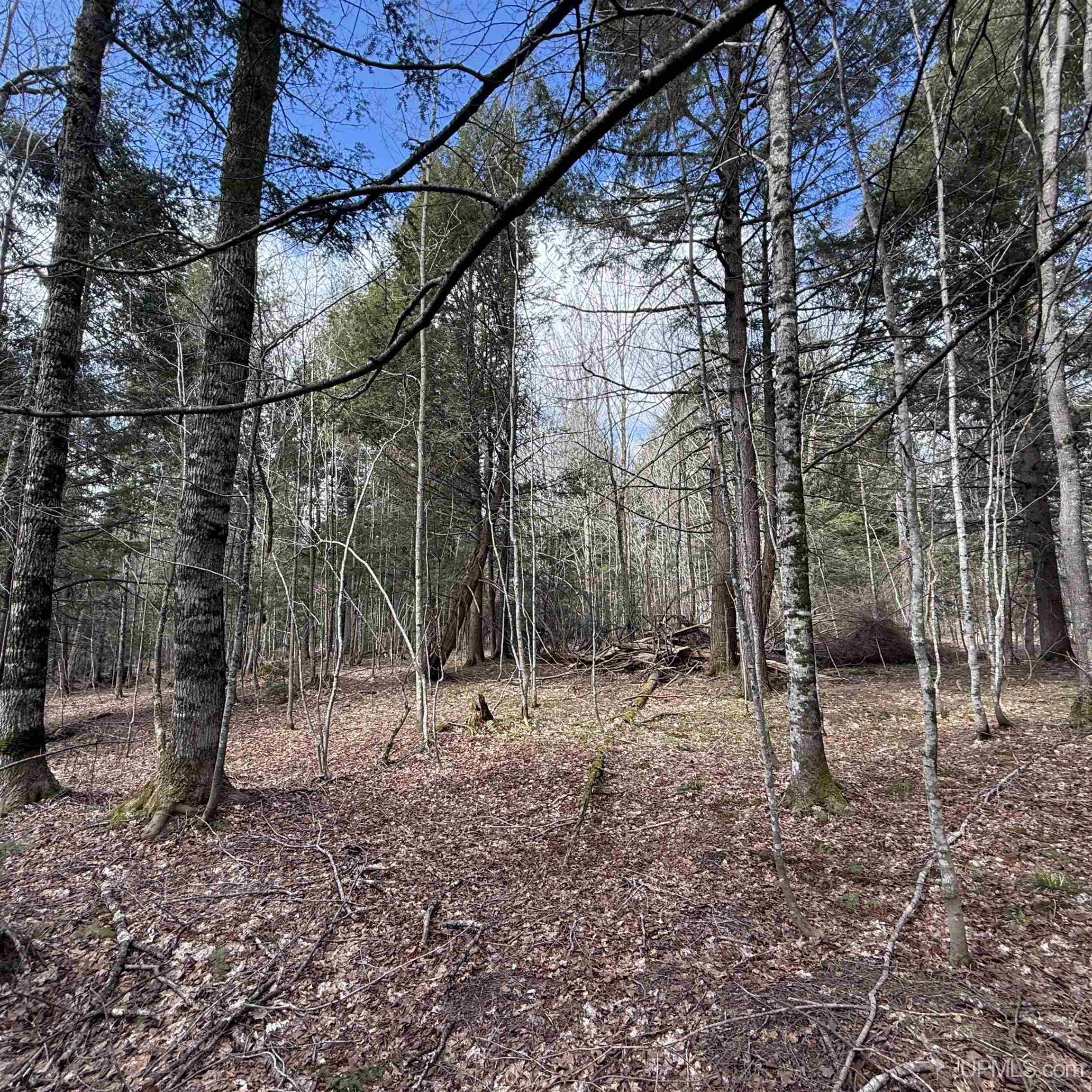 Off Black River Road Ironwood, MI 49938 - Photo 22 of 31