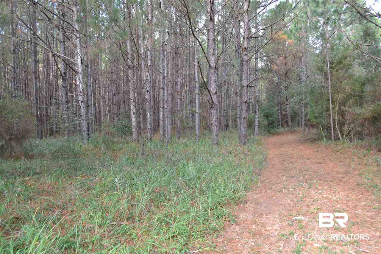 20751 Keller Road Foley, AL 36535 - Photo 32 of 44