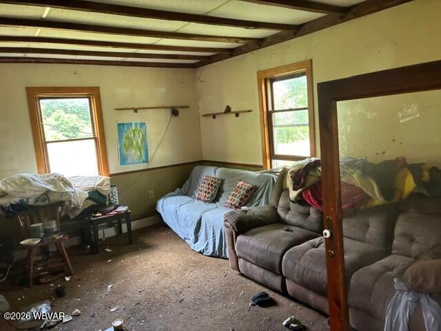 6143 Rose Valley Road Trout Run, PA 17771 - Photo 27 of 55 Gallery Image 27