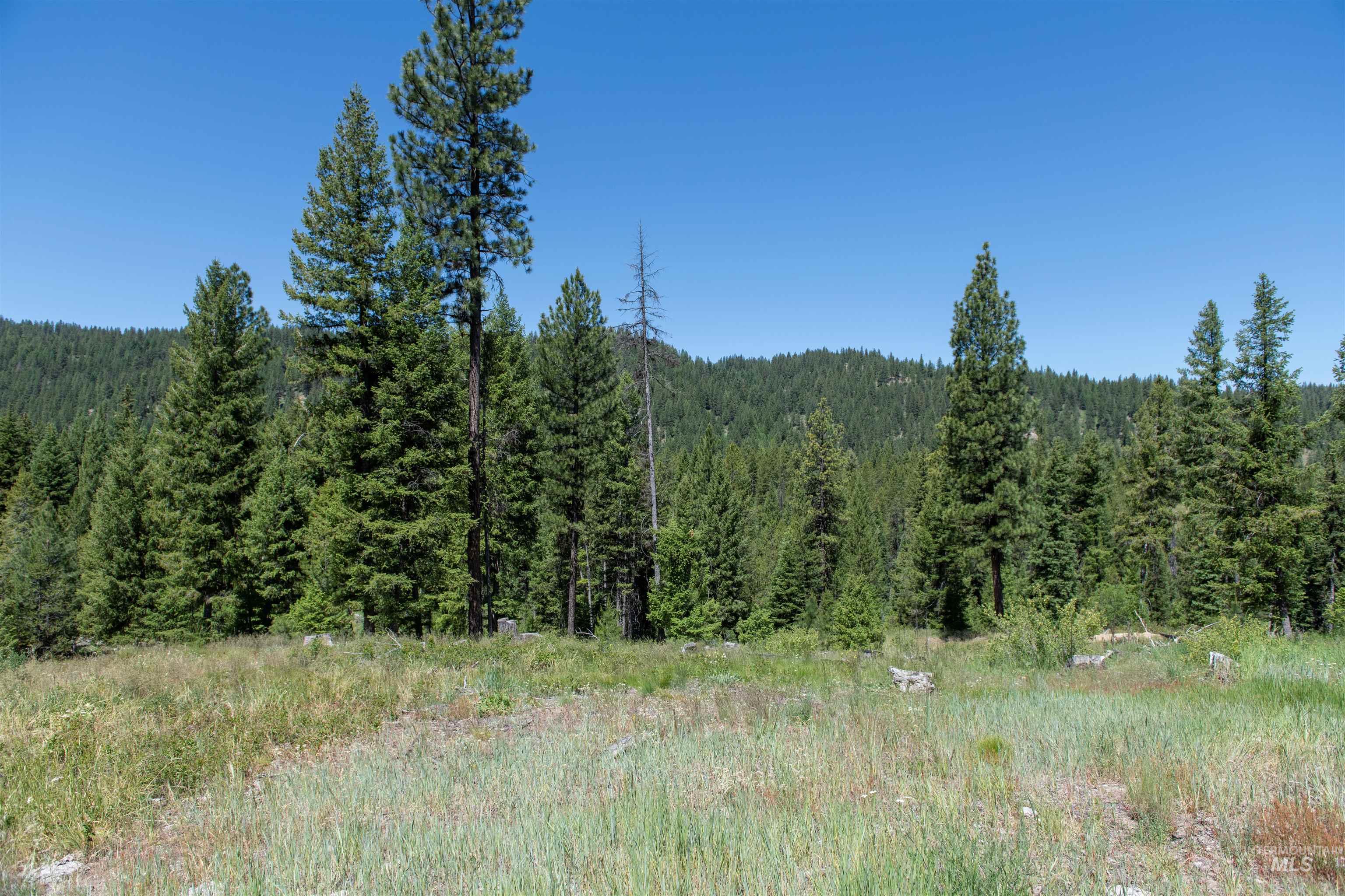 33 Clear Creek Road Cascade, ID 83611 - Photo 7 of 10