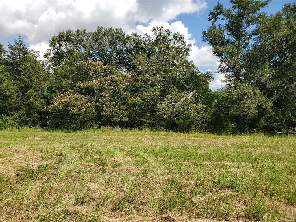 Lot 8 County Road 1140 Emory, TX 75440 - Photo 1 of 10 a view of a yard with a tree