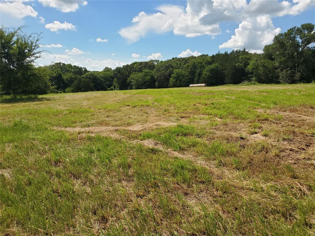 Lot 8 County Road 1140 Emory, TX 75440 - Photo 2 of 10 a view of a field with an trees in the background