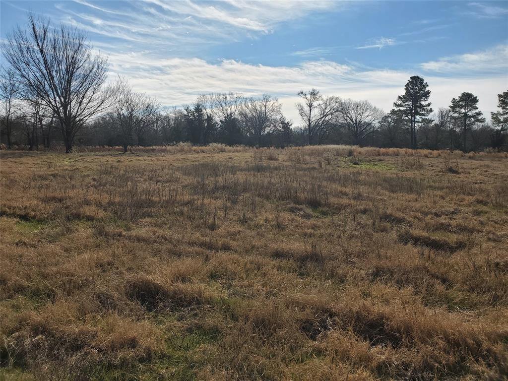 Lot 8 County Road 1140 Emory, TX 75440 - Photo 5 of 10 a view of a field with trees