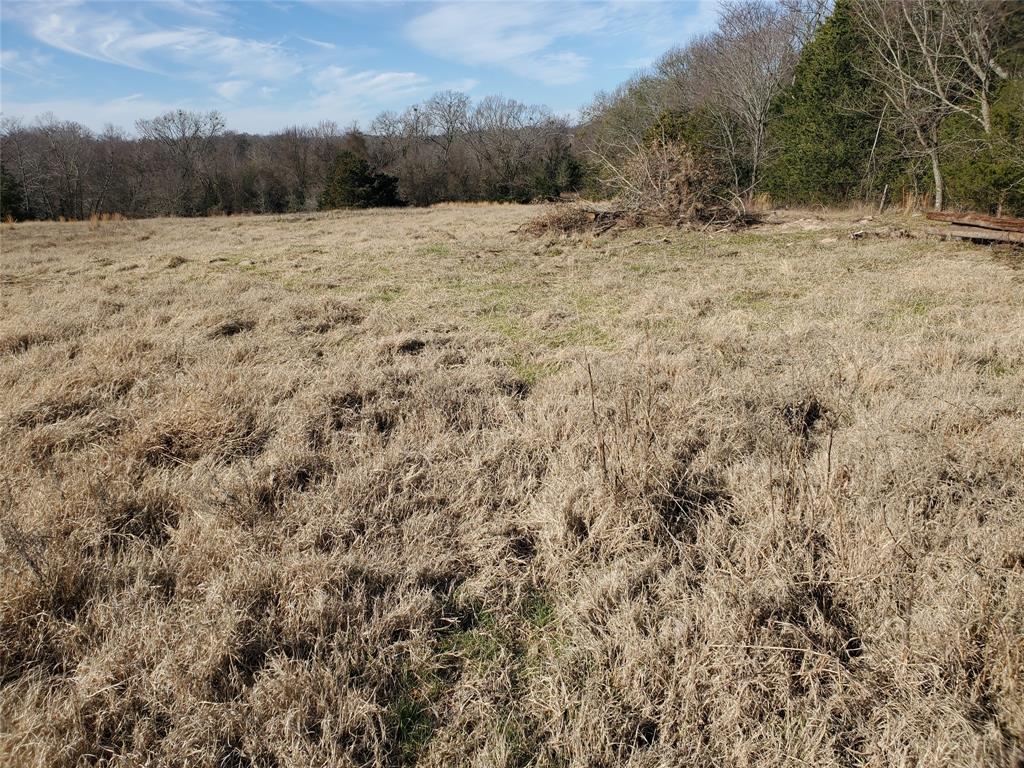 Lot 8 County Road 1140 Emory, TX 75440 - Photo 6 of 10 a view of a yard