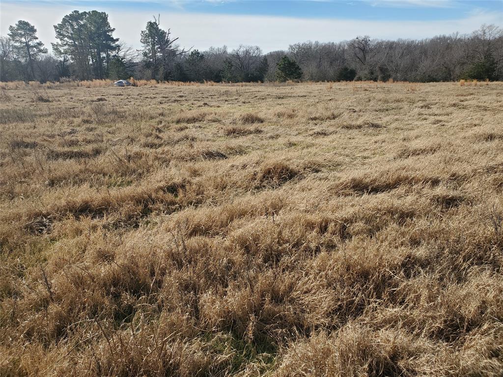 Lot 8 County Road 1140 Emory, TX 75440 - Photo 7 of 10 a view of an ocean beach