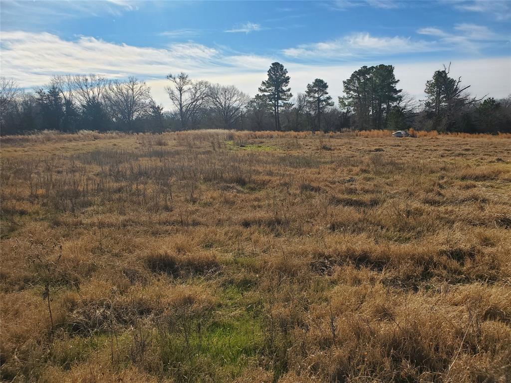 Lot 8 County Road 1140 Emory, TX 75440 - Photo 8 of 10 a view of an ocean beach