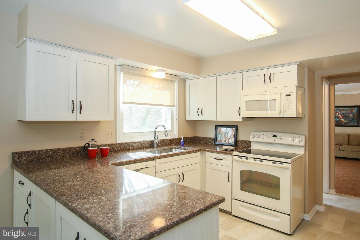 301 Opera Court Silver Spring, MD 20901 - Photo 4 of 22 Kitchen