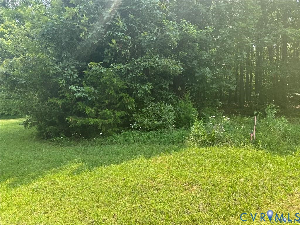 0 Ballsville Road Powhatan, VA 23139 - Photo 5 of 7