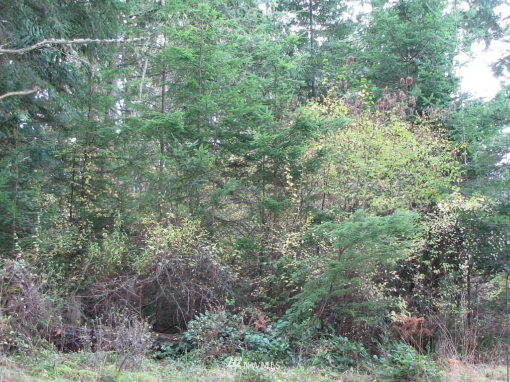 4 Mud Bay Road Lopez Island, WA 98261 - Photo 2 of 4