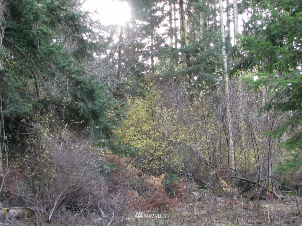 4 Mud Bay Road Lopez Island, WA 98261 - Photo 3 of 4