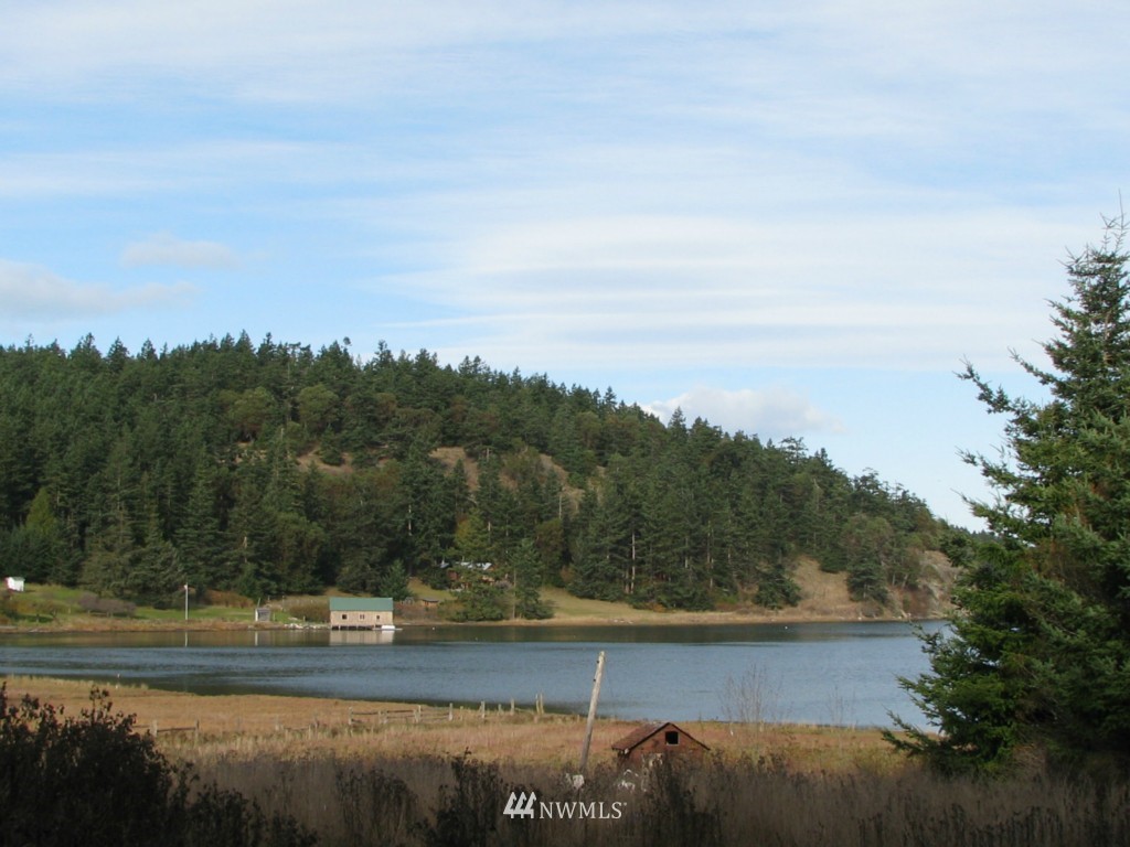 4 Mud Bay Road Lopez Island, WA 98261 - Photo 4 of 4