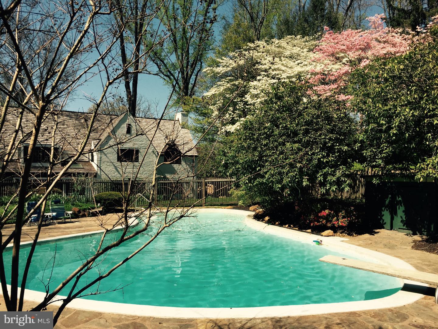324 Chester Road Devon, PA 19333 - Photo 22 of 25 Pool