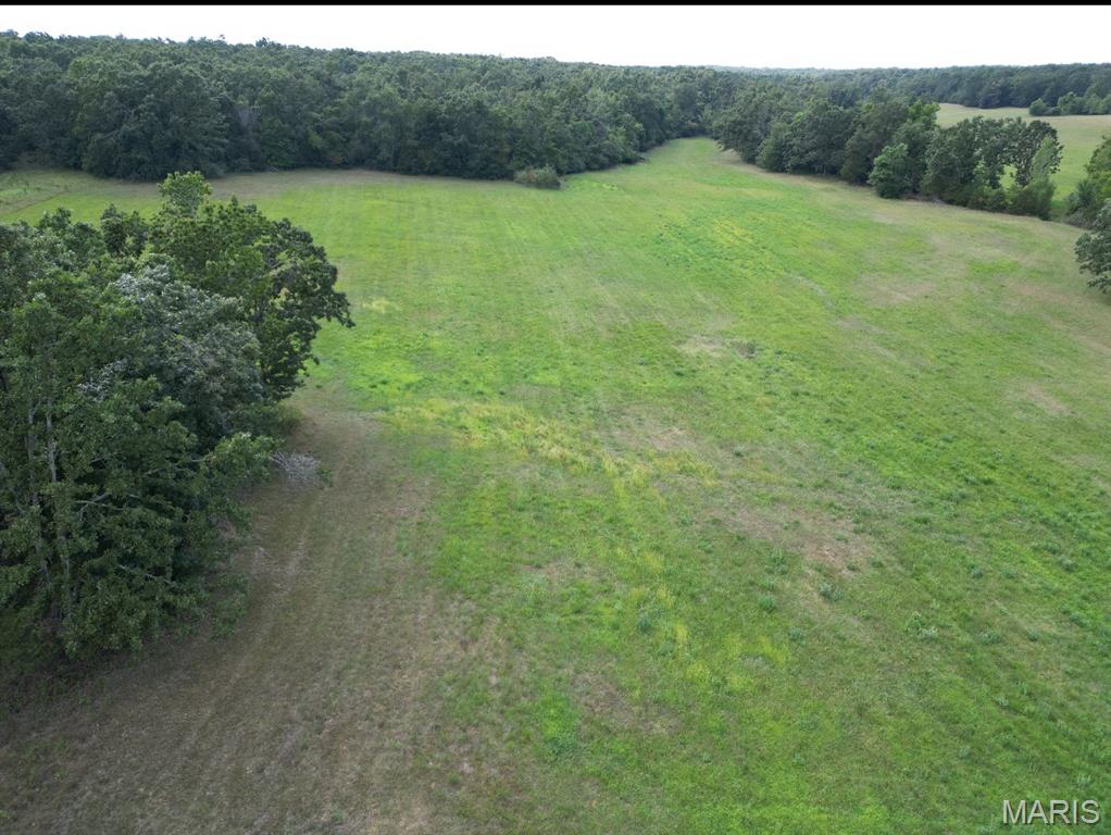 0 Bidwell Creek Road Fredericktown, MO 63645 - Photo 4 of 18