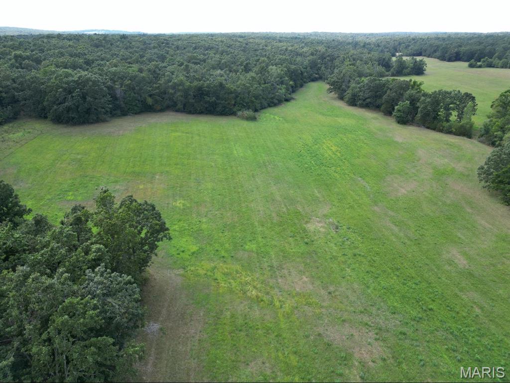 0 Bidwell Creek Road Fredericktown, MO 63645 - Photo 5 of 18