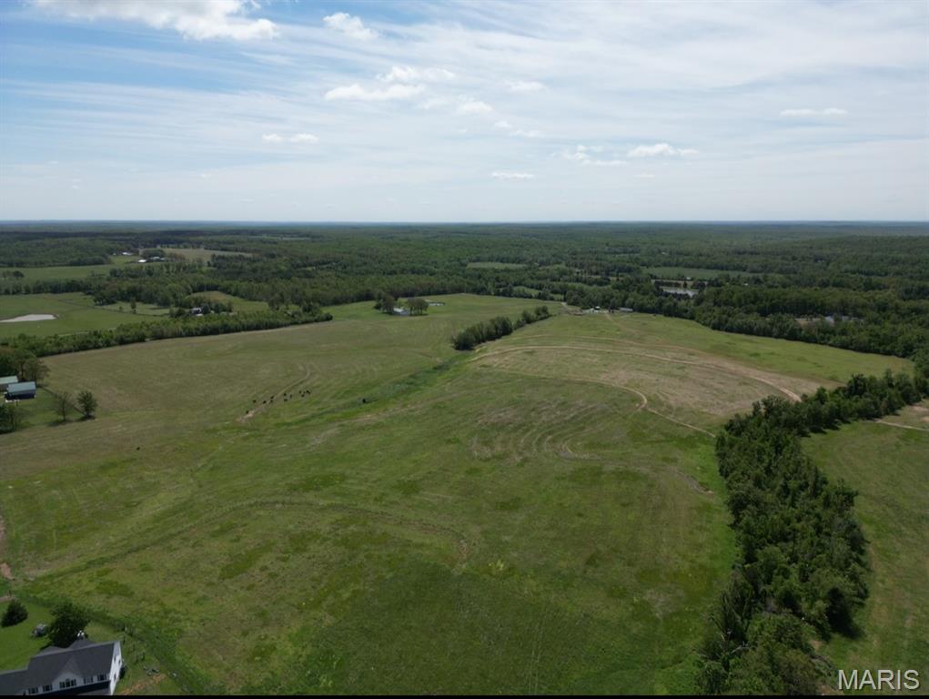 0 Bidwell Creek Road Fredericktown, MO 63645 - Photo 7 of 18