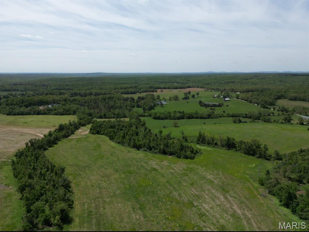 0 Bidwell Creek Road Fredericktown, MO 63645 - Photo 8 of 18