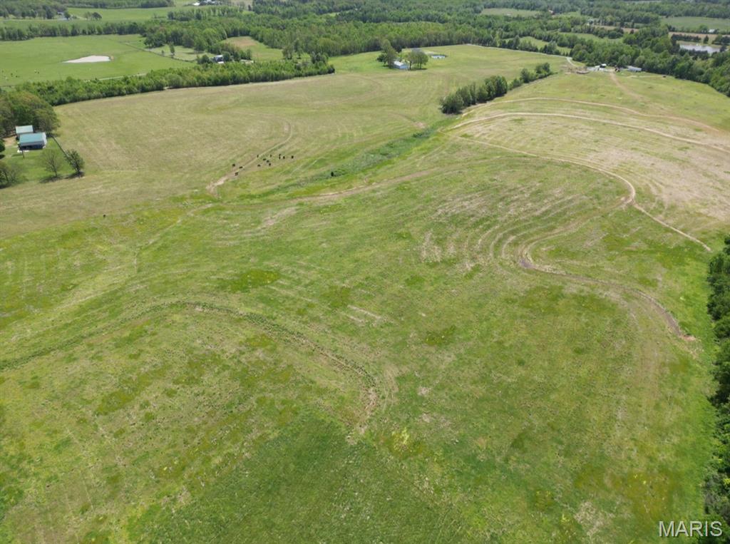 0 Bidwell Creek Road Fredericktown, MO 63645 - Photo 9 of 18