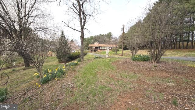 234 Hopewell Road Clear Brook, VA 22624 - Photo 53 of 69