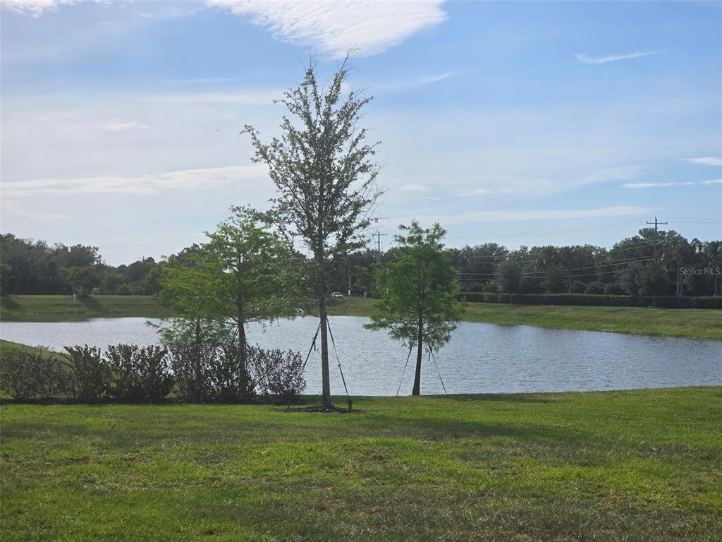 13031 Bluff Oak Way Parrish, FL 34219 - Photo 21 of 25 a view of a lake from a yard