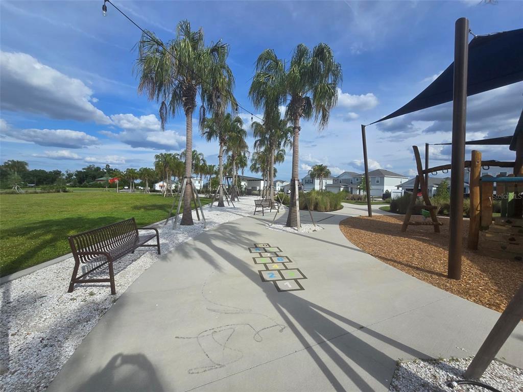 13031 Bluff Oak Way Parrish, FL 34219 - Photo 24 of 25 a row of palm trees sitting in a park