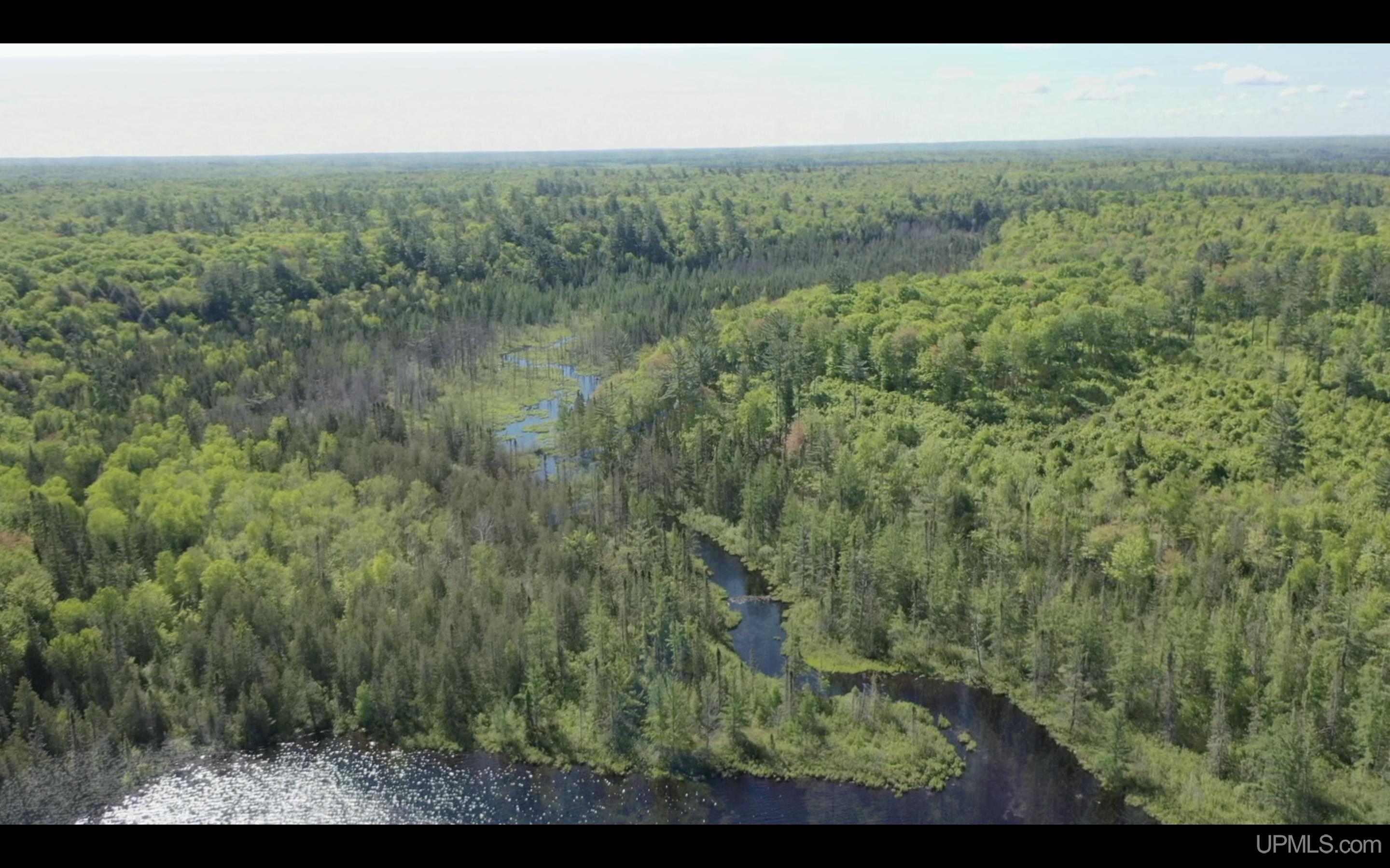 527 Usfs Road Iron River, MI 49935 - Photo 5 of 37