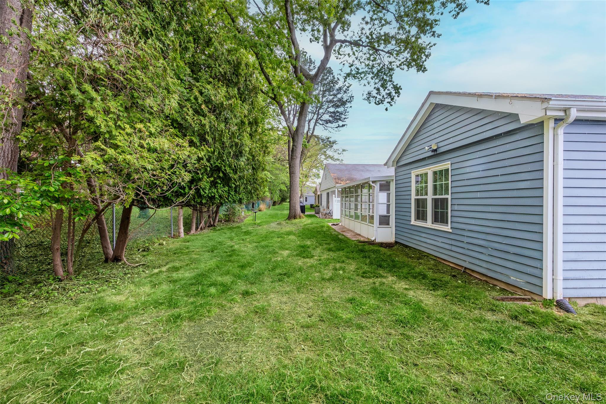 220 Belfast Lane Ridge, NY 11961 - Photo 5 of 44 a view of backyard with a garden and trees