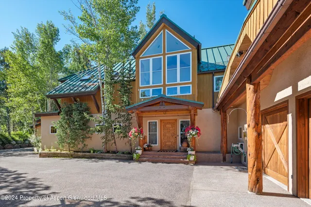 a view of a lush green forest with trees in the background