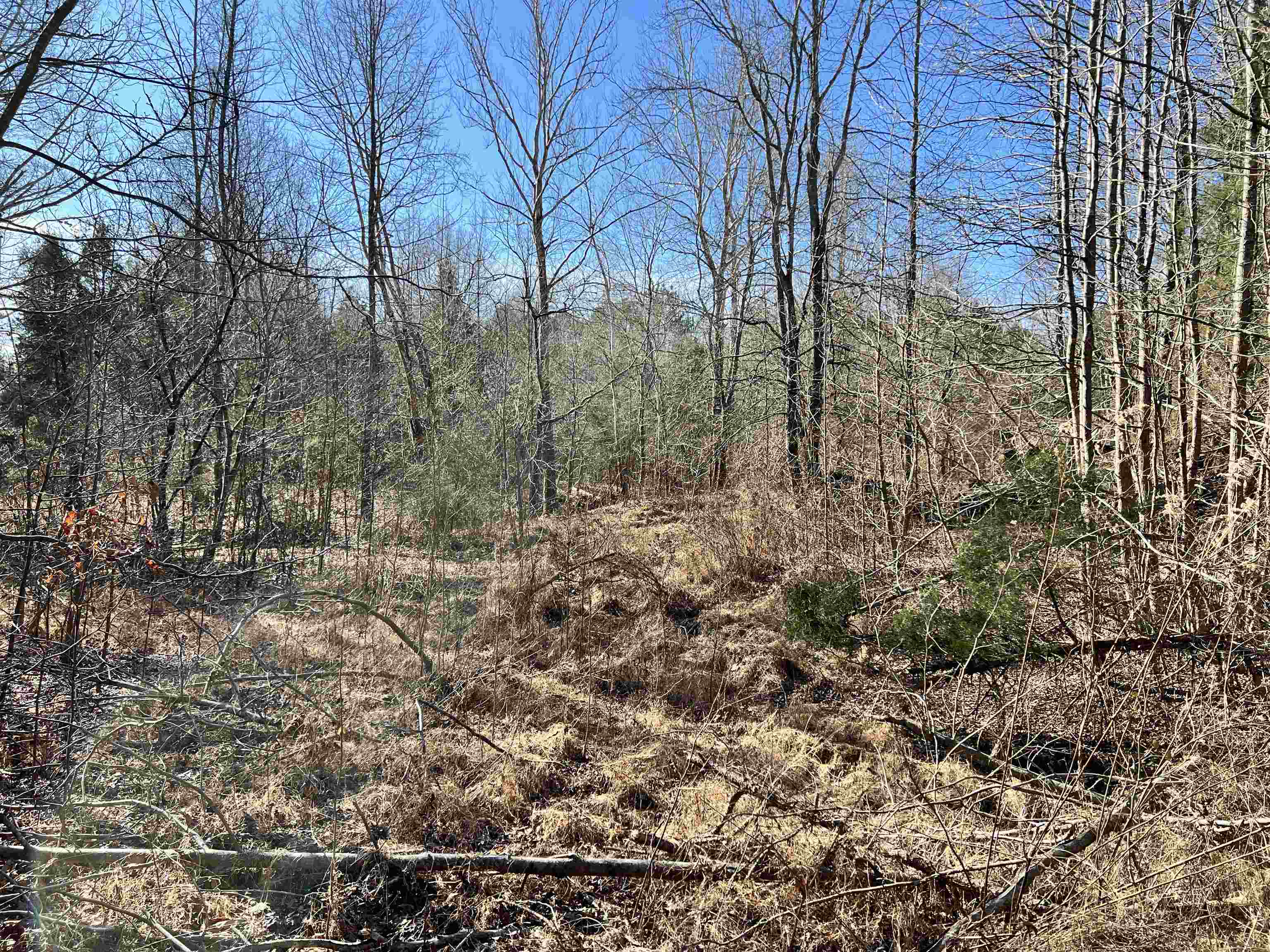 100-ac Roberts Road Pinson, TN 38366 - Photo 5 of 10 Gallery Image 5