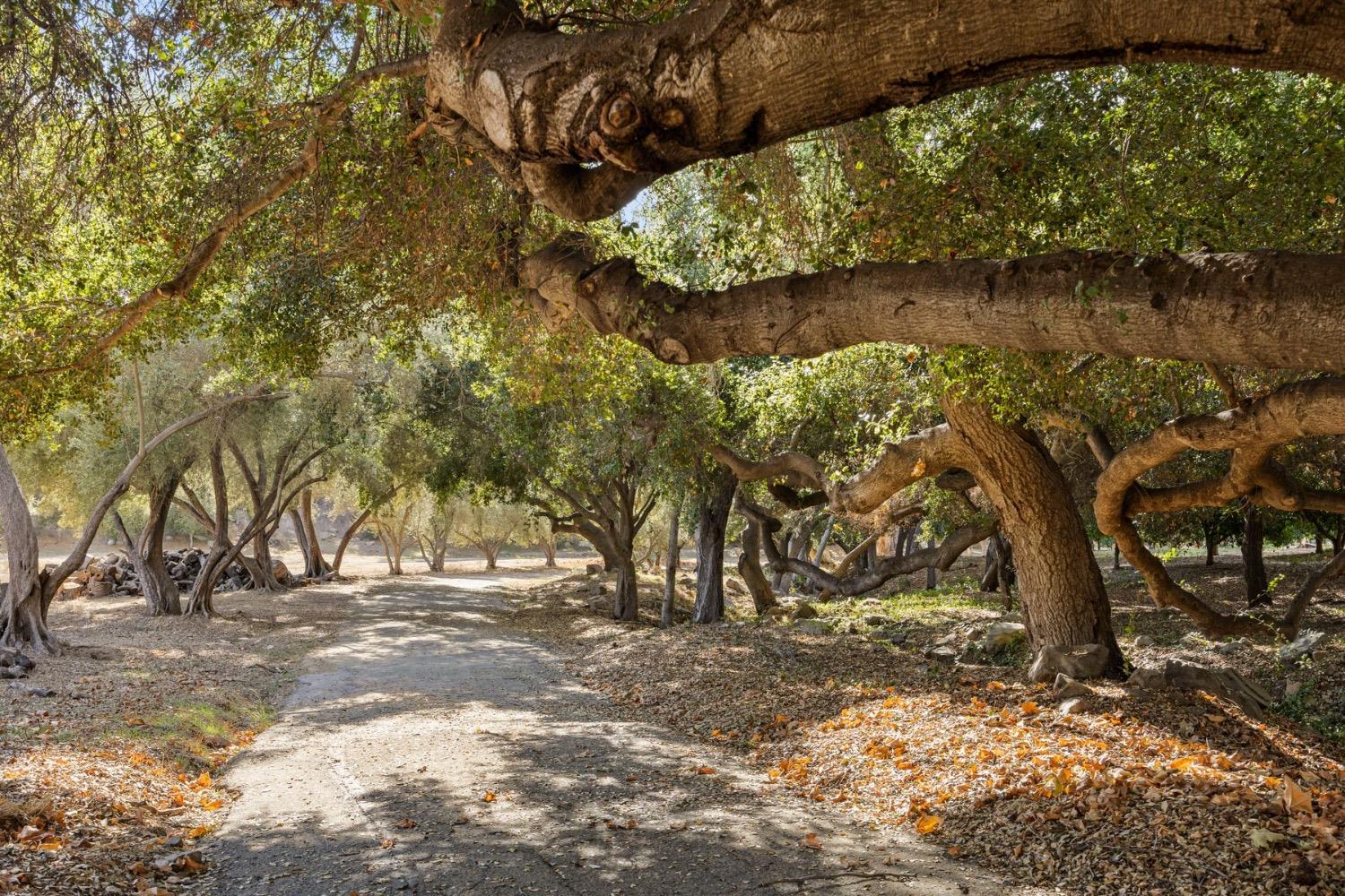 2250 Hermitage Road Ojai, CA 93023 - Photo 2 of 31