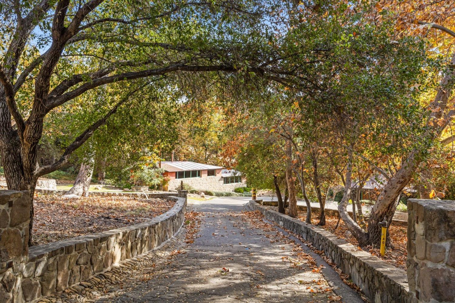 2250 Hermitage Road Ojai, CA 93023 - Photo 27 of 31 a view of a yard with plants and trees