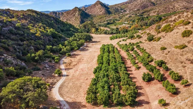a view of lake and mountain
