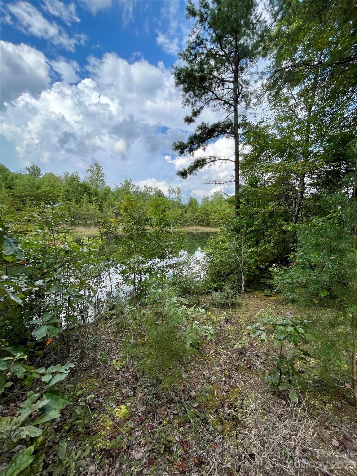 509 Emerald Parkway Rutherfordton, NC 28139 - Photo 14 of 35 Gallery Image 14