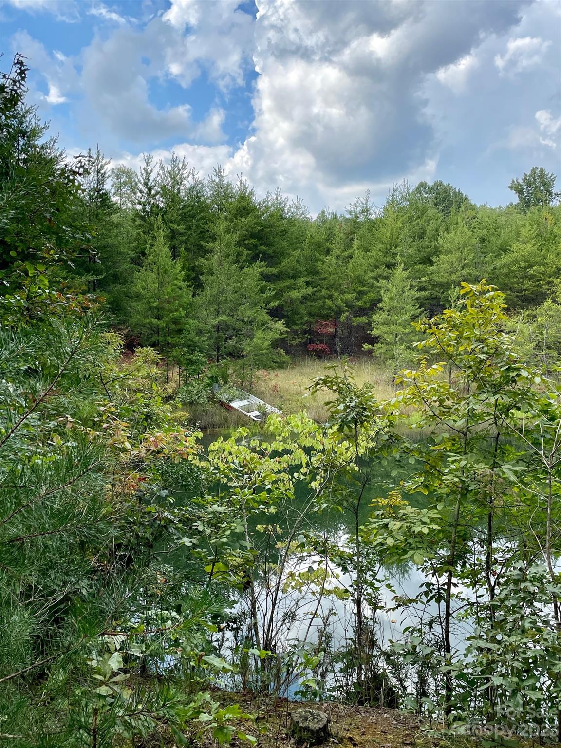 509 Emerald Parkway Rutherfordton, NC 28139 - Photo 18 of 35 Gallery Image 18