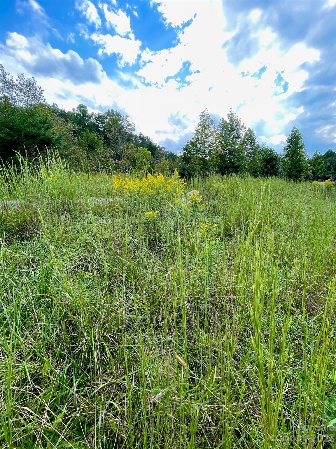 509 Emerald Parkway Rutherfordton, NC 28139 - Photo 23 of 35 Gallery Image 23